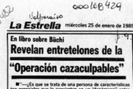 Revelan entretelones de la "Operación cazaculpables"  [artículo].
