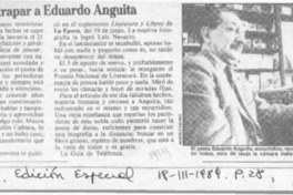 Cómo atrapar a Eduardo Anguita  [artículo].