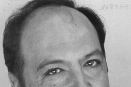 El fenómeno Flores  [artículo] Ximena Torres Cautivo.