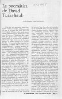 La poemática de David Turkeltaub