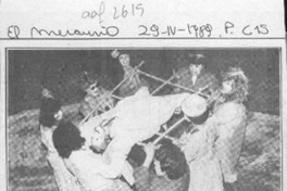 Valparaíso recibe un extraño ser alado