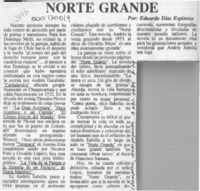 Norte grande  [artículo] Eduardo Díaz Espinoza.