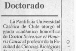 Doctorado  [artículo].
