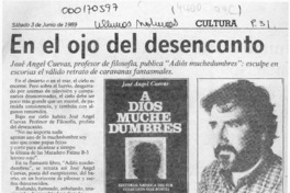 En el ojo del desencanto  [artículo] Rodolfo Gambetti.