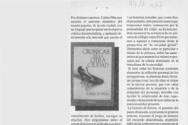Crónicas de la otra ciudad  [artículo] Carmen Barrera.