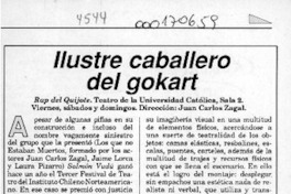 Ilustre caballero del gokart  [artículo] Juan Andrés Piña.