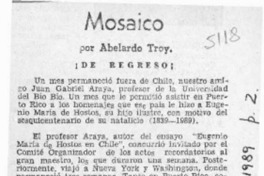 Mosaico  [artículo] Abelardo Troy.