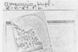 El viaje de los duendes al otro lado del mundo  [artículo] Lucía Gevert.