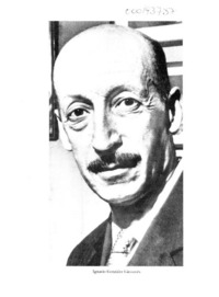 Pintor de la alegría