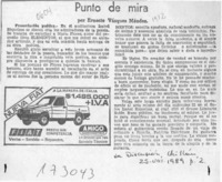 Punto de mira  [artículo] Ernesto Vásquez Méndez.