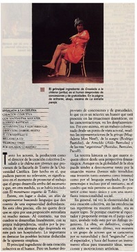 Ensalada a la chilena