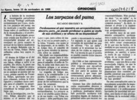 Los zarpazos del puma  [artículo] Ricardo Brodsky B.