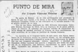 Punto de mira  [artículo] Ernesto Vásquez Méndez.