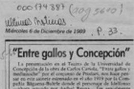 "Entre gallos y Concepción"  [artículo] Wilfredo Mayorga.