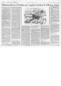 Melancólicos ovidios en lucha contra la mosca azul