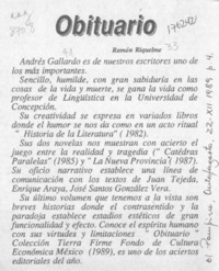Obituario  [artículo] Ramón Riquelme.
