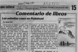 Las estrellas caen en Pudahuel  [artículo] Nadya Rojo.