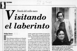 Visitando el laberinto  [artículo] Rodrigo Cánovas.