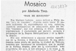 Mosaico  [artículo] Abelardo Troy.