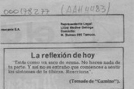 La isla y los zarpazos  [artículo] Antonieta Rodríguez París.