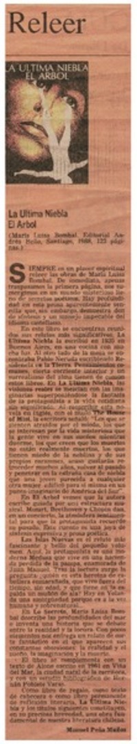 La última niebla ; El árbol