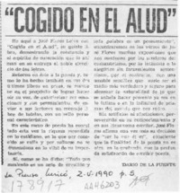 "Cogido en el alud"  [artículo] Darío de la Fuente