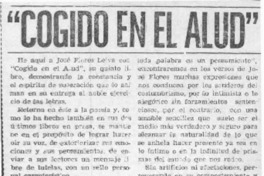 "Cogido en el alud"  [artículo] Darío de la Fuente