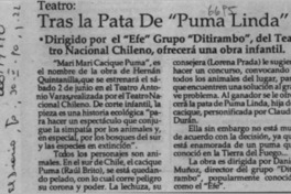 Tras la pata de "puma linda"  [artículo].