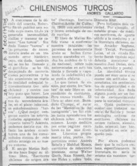Chilenismos turcos  [artículo] Andrés Gallardo.