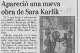 Apareció una nueva obra de Sara Karlik