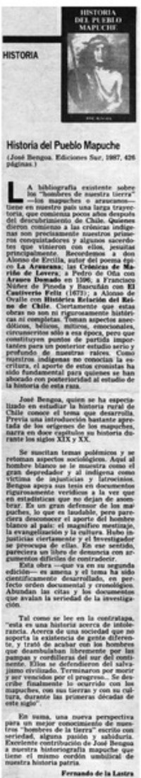 Historia del pueblo mapuche