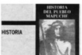 Historia del pueblo mapuche