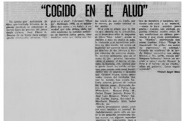 "Cogido en el alud"