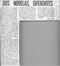 Dos novelas diferentes  [artículo] Matías Rafide.