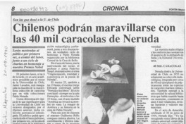 Chilenos podrán maravillarse con la 40 mil caracolas de Neruda  [artículo].