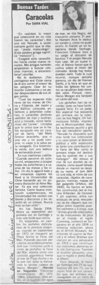 Caracolas  [artículo] Sara Vial.