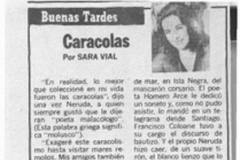 Caracolas  [artículo] Sara Vial.