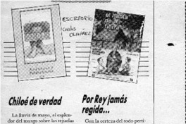 Escritorio  [artículo] Carlos Olivárez.