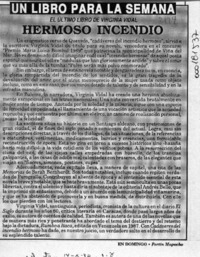 Hermoso incendio  [artículo].