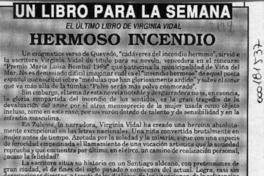 Hermoso incendio  [artículo].