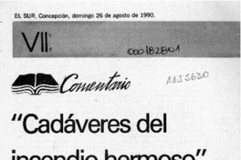 "Cadáveres del incendio hermoso"  [artículo] Mario Rodríguez.