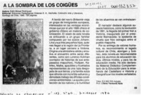 A la sombra de los coigües