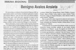 Benigno Avalos Ansieta  [artículo] Medardo Cano Godoy.