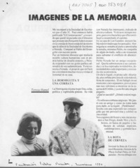 Imágenes de la memoria  [artículo] Teresa Hamel.
