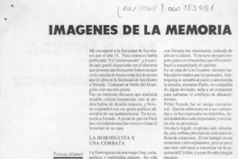 Imágenes de la memoria  [artículo] Teresa Hamel.