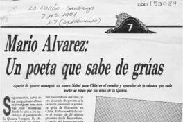 Mario Alvarez, un poeta que sabe de grúas  [artículo].