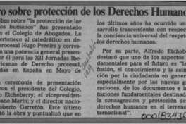 Libro sobre protección de los Derechos Humanos  [artículo].