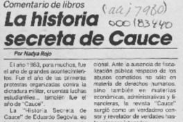 La historia secreta de Cauce  [artículo] Nadya Rojo.