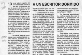 A un escritor dormido  [artículo].