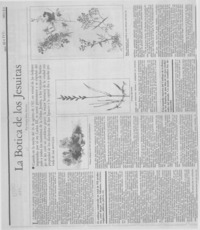 La botica de los jesuitas